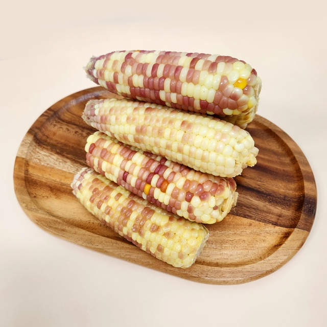 [(주)아생] 알알이 탱글한 찰진 식감 홍찰옥수수 2kg