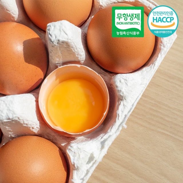 HACCP인증 무항생제 농장직송 달걀 생계란 대란 특란