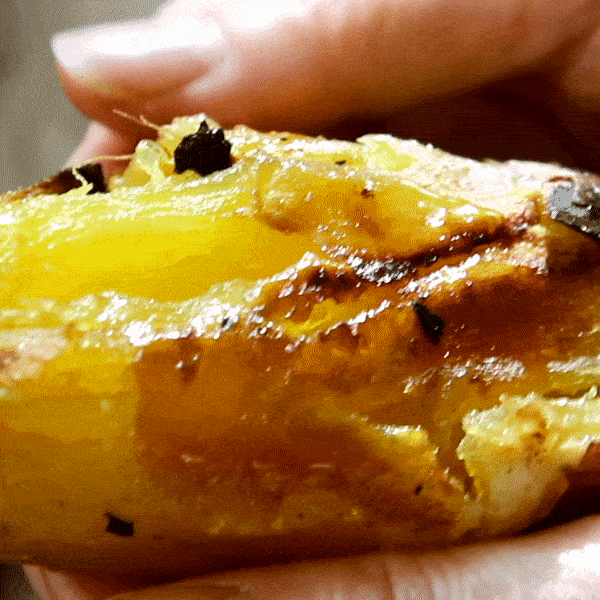 해남 꿀 호박 고구마 베니하루카