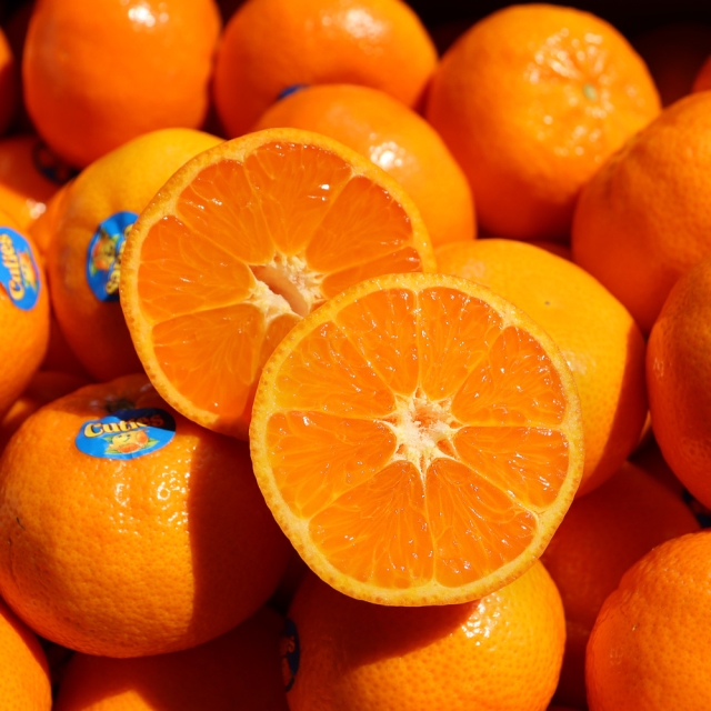 항공직송! 미국 캘리포니아 만다린🧡