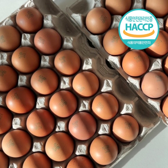 구운란 대란 (HACCP 인증)
