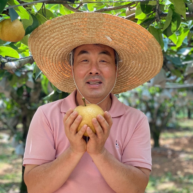 배(전라남도 나주)