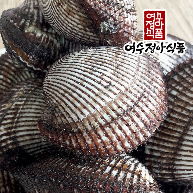 산지직송 남해안 피꼬막 3kg