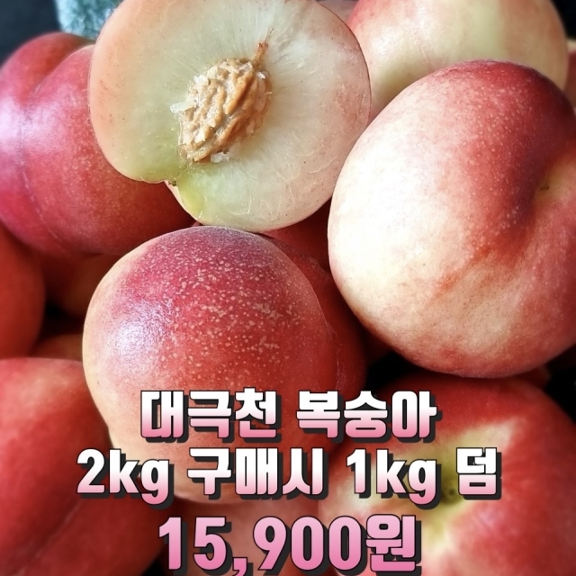 선착순 할인! 대극천복숭아 2kg+1kg 덤