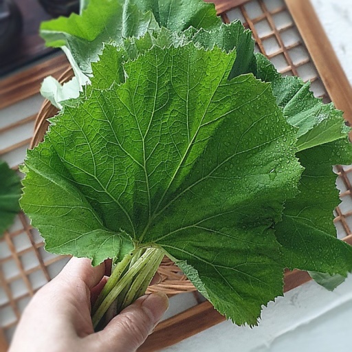 향긋한 머위