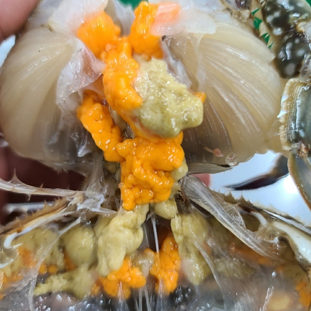 서해안 알베기 활 암꽃게 1kg (4~6미)