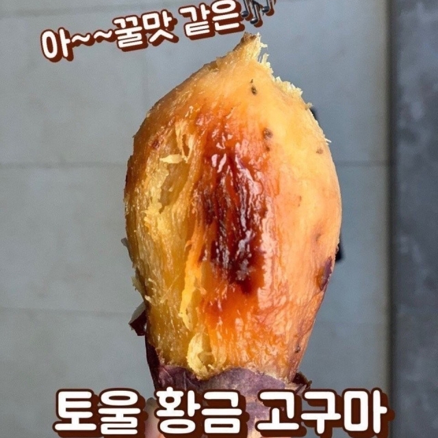 영암 토울고구마(한입/중)