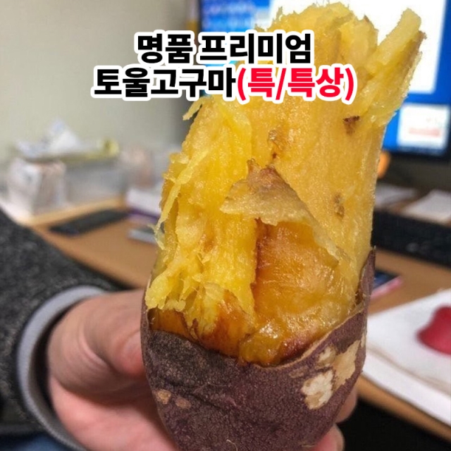 sum_251127.jpg