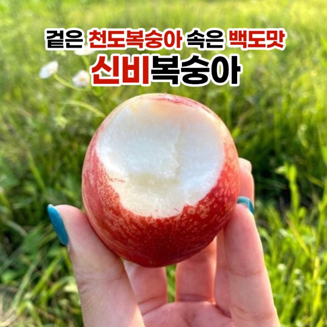 아삭함과 달콤함이 만난 신비복숭아