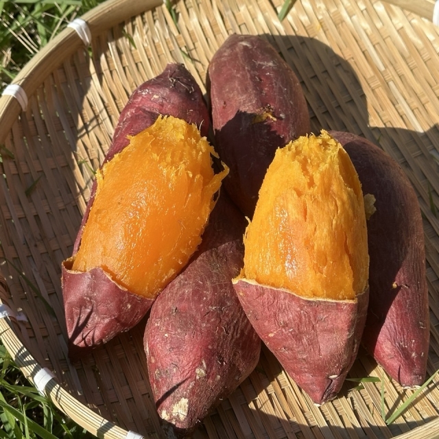 아엠푸드농산물도매_사진_20261005_4.jpg