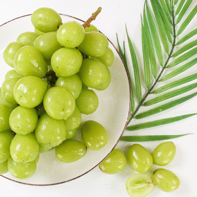 크기와 맛! 모두를 충족시키는 샤인머스켓