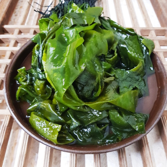 올해 첫 수확한 완도 초사리 어린미역