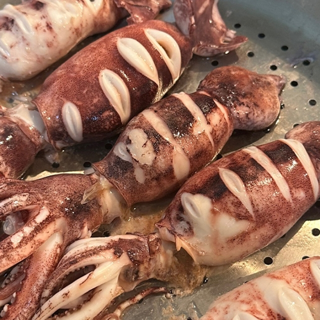 살이 통통하게 오른 총알오징어