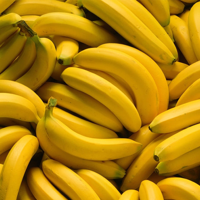 [산지직송]국산 산청 유기농 바나나 1.5kg  2.5kg내외(수요일 출고)