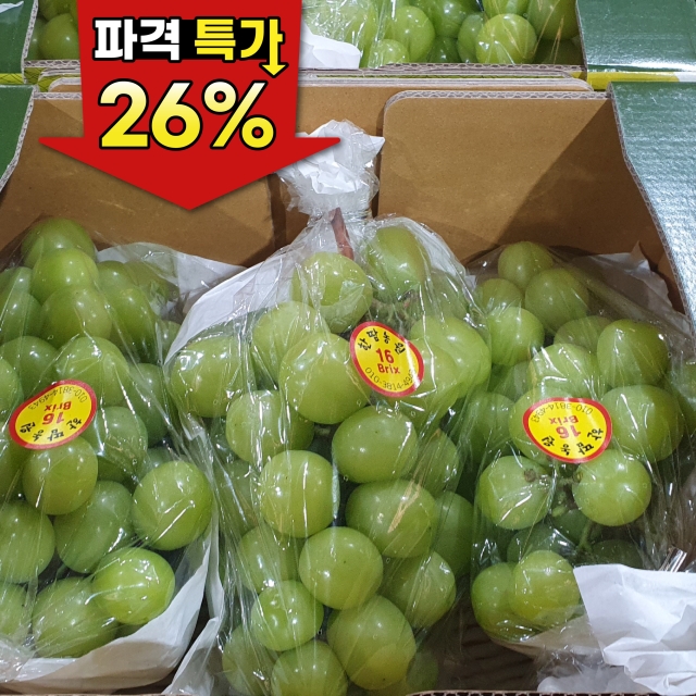 ★공구특가 샤인머스켓 2kg