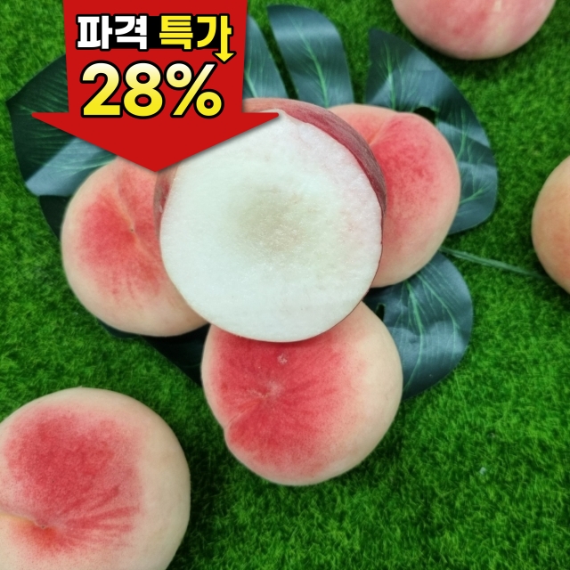 ★공구특가 딱딱이 복숭아 2kg