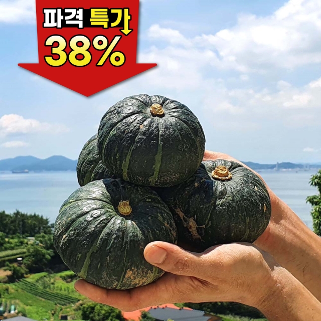 ★공구특가 남해 미니밤호박