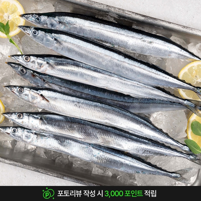 냉동 꽁치 원양산 급냉 5마리 10마리