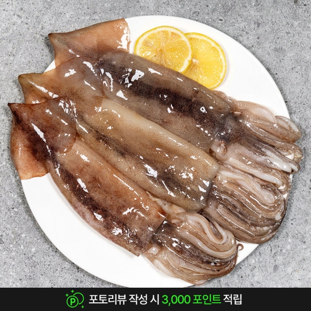 손질 통오징어 2마리 270g 350g 2팩