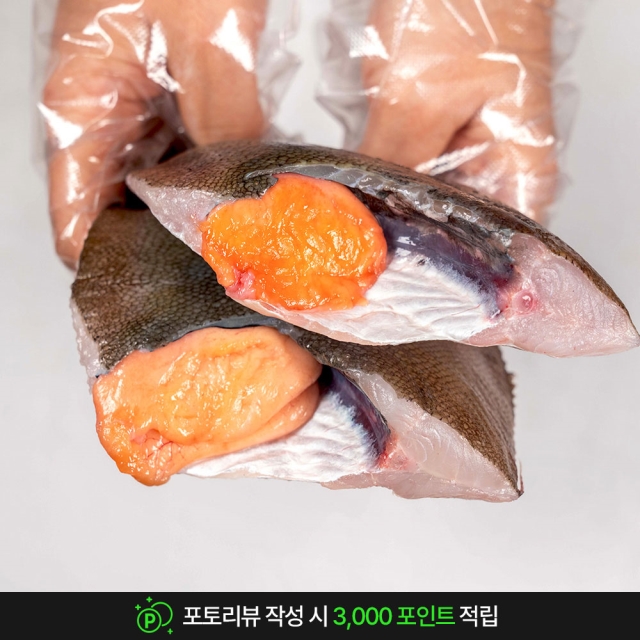 산지직송 제철 알배기 생물 손질가자미 대 (손질 후 620g~650g 내외)