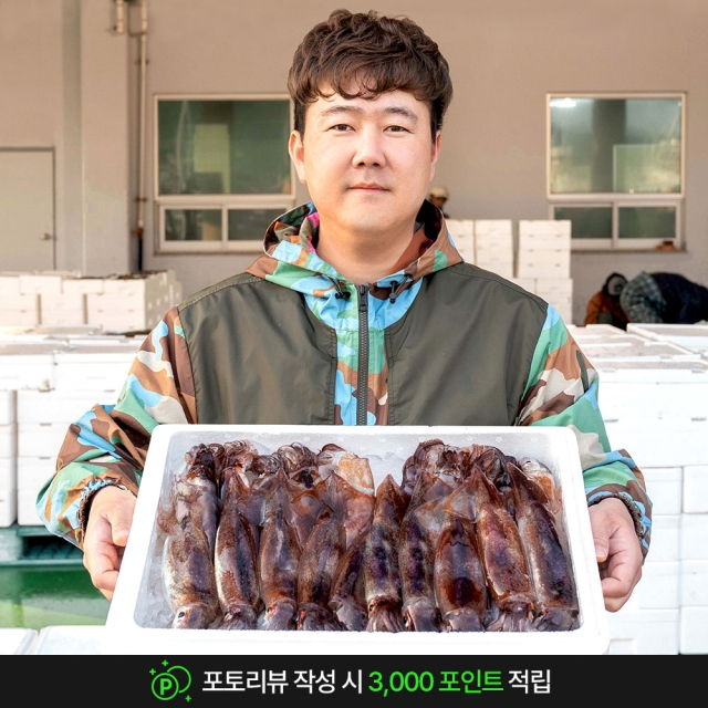 이프로마켓 국내산 활 급냉 초코오징어 1kg