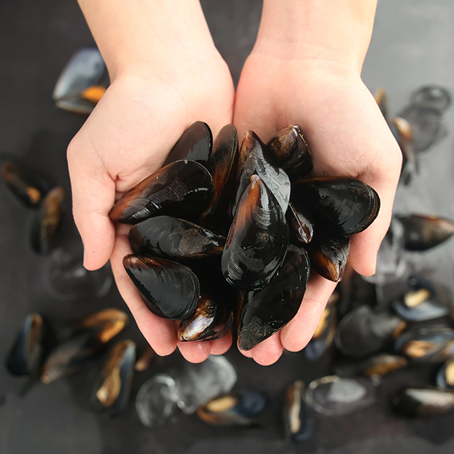 통통한 살! 여수 손질 홍합