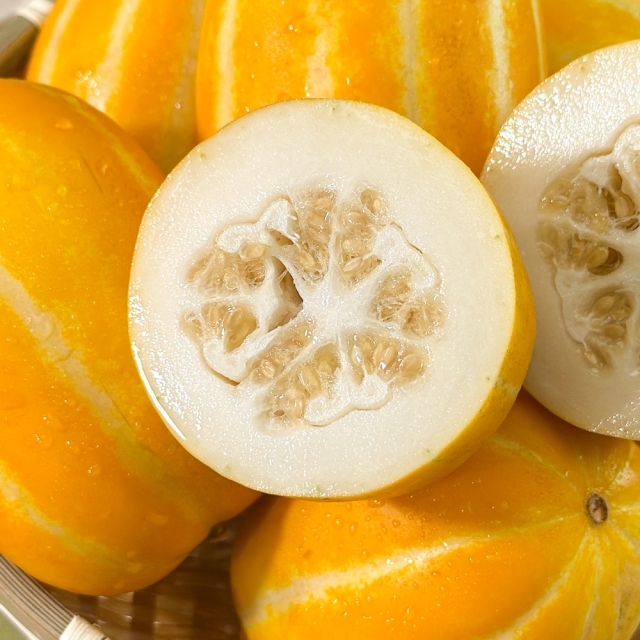 고당도 성주참외 꿀참외 특가