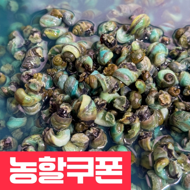 자연산100% 동강청정 깐다슬기