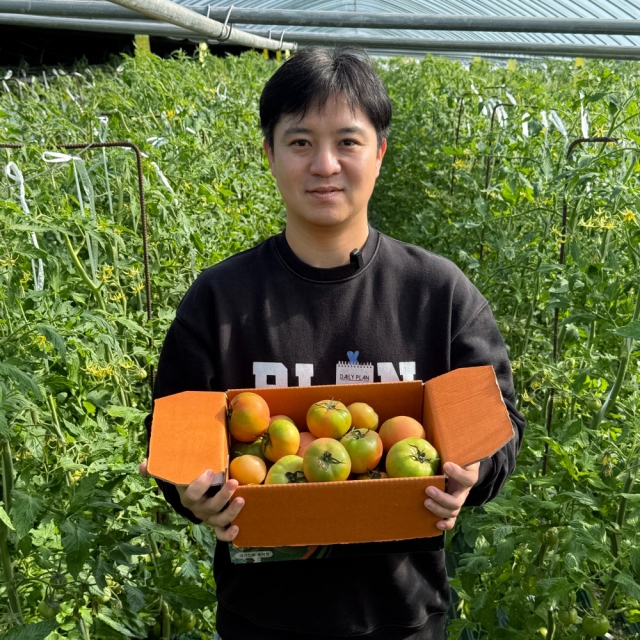 부산 대저 짭짤이 토마토 2.5kg        