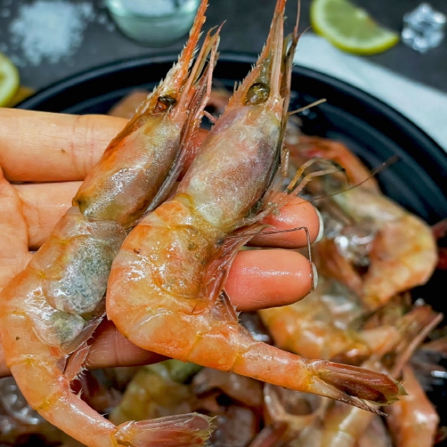 횟감 단새우 1kg