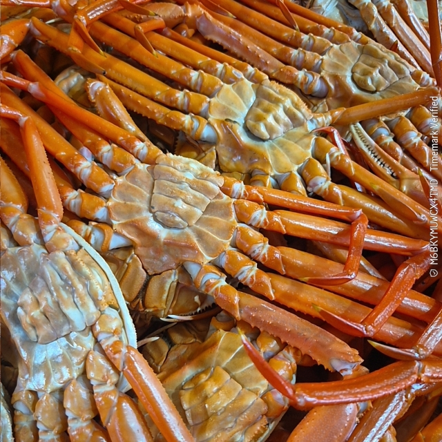 ★찜★후포 박달홍게 대짜 (3kg 내외)