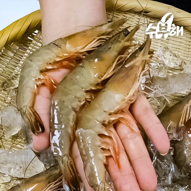 [급냉]자연산 대하새우 500g