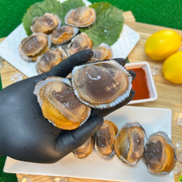 남해안 피꼬막 3kg