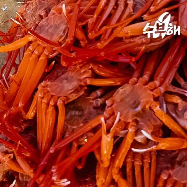 찜 홍게 3kg (5-6미)