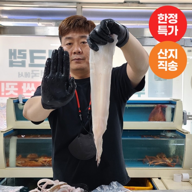 자연산 손질 바다장어(대) 1kg 2-3미