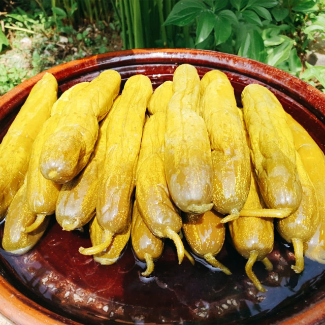 통오이지