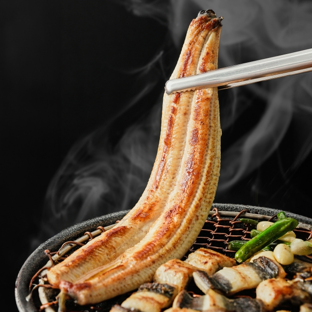 자포니카 고창 민물장어 1kg