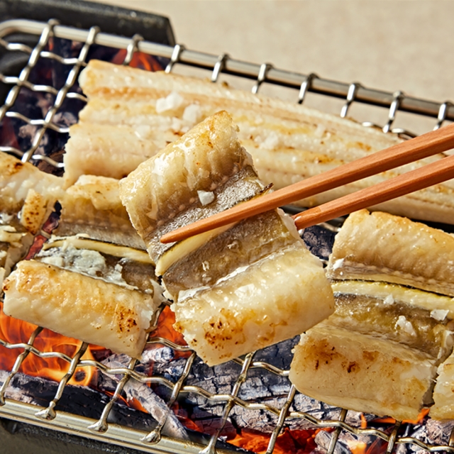 통영 자연산 활 바다장어 1kg 2-4미 / 손질 후 중량 800g내외
