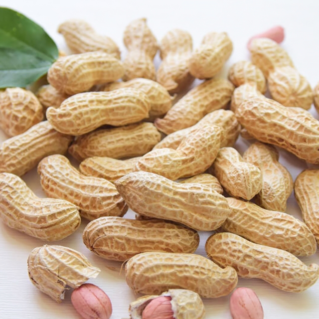 국내산 햇 피땅콩 500g
