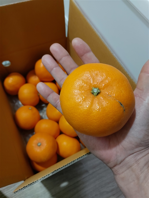 1743155613244.jpg